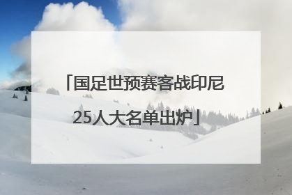 国足世预赛客战印尼25人大名单出炉
